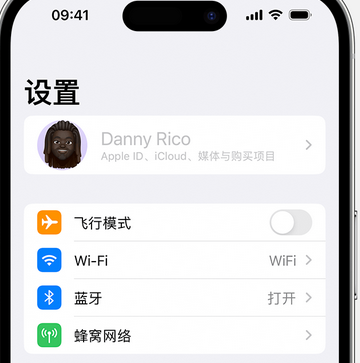 台安appleID维修服务iPhone设置中Apple ID显示为灰色无法使用 