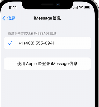 台安apple维修iPhone上无法正常发送iMessage信息