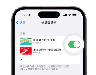 台安apple维修点分享iPhone上更换Apple Pay快捷交通卡手绘卡面 