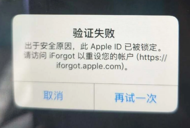 台安iPhone维修分享iPhone上正常登录或使用AppleID怎么办 