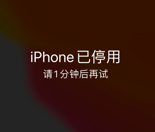 台安苹果手机维修分享:iPhone 显示“不可用”或“已停用”怎么办？还能保留数据吗？ 