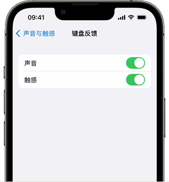 台安苹果14维修店分享如何在 iPhone 14 机型中使用触感键盘 