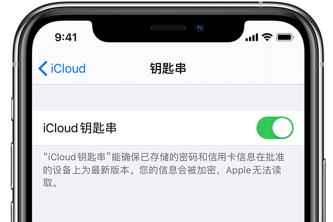 台安苹果手机维修分享在 iPhone 上开启 iCloud 钥匙串之后会储存哪些信息 