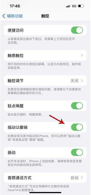 台安苹果手机维修分享iPhone手机如何设置摇一摇删除文字 