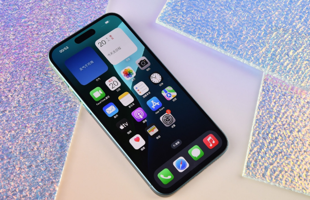 台安苹果手机维修分享为什么大家不喜欢苹果iPhone 16 Plus 